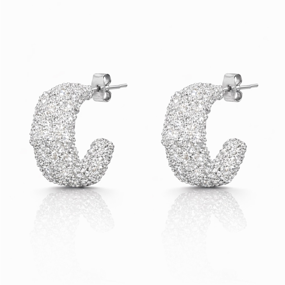 ⚜️ Elegant Silver Earrings